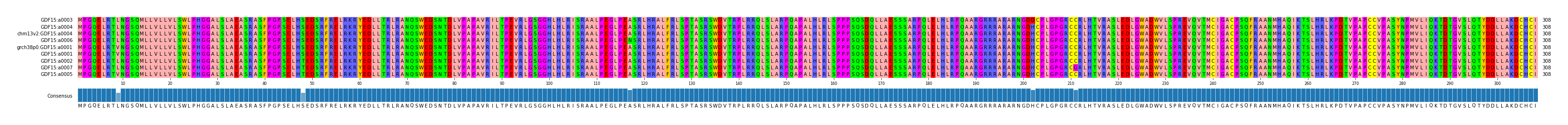 Multiple Alignments (by translate haplotype similarity)