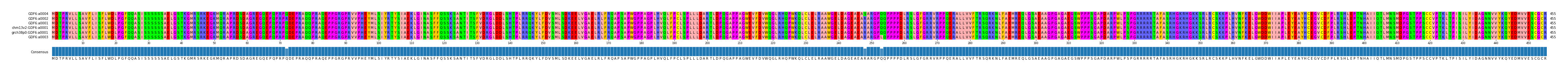 Multiple Alignments (by translate haplotype similarity)