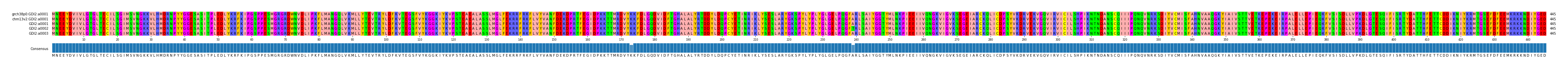 Multiple Alignments (by translate haplotype frequency)