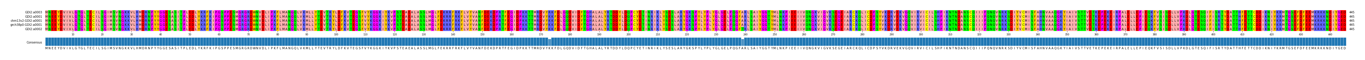 Multiple Alignments (by translate haplotype similarity)