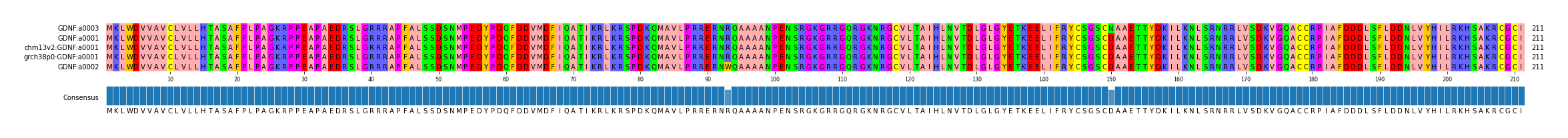 Multiple Alignments (by translate haplotype similarity)