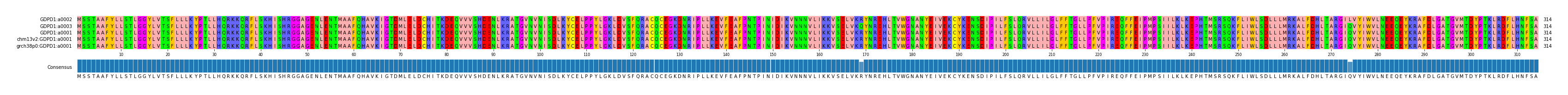 Multiple Alignments (by translate haplotype similarity)