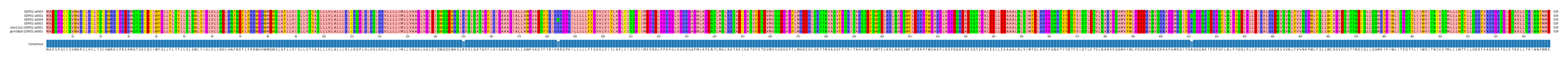 Multiple Alignments (by translate haplotype similarity)