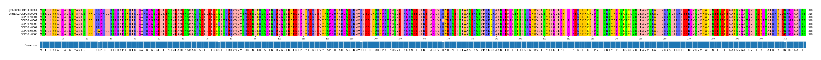 Multiple Alignments (by translate haplotype frequency)