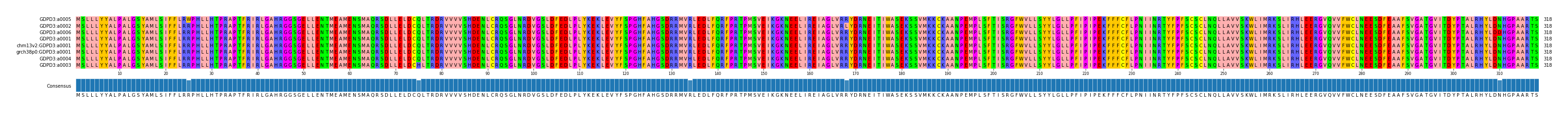 Multiple Alignments (by translate haplotype similarity)