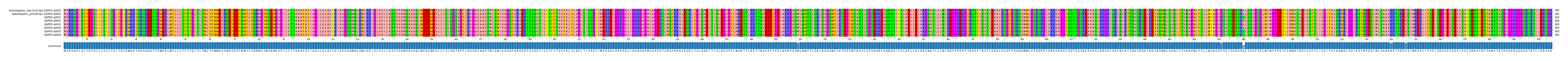 Multiple Alignments (by translate haplotype frequency)