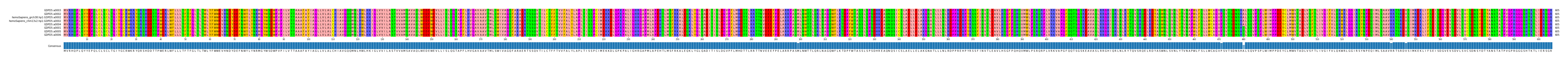 Multiple Alignments (by translate haplotype similarity)