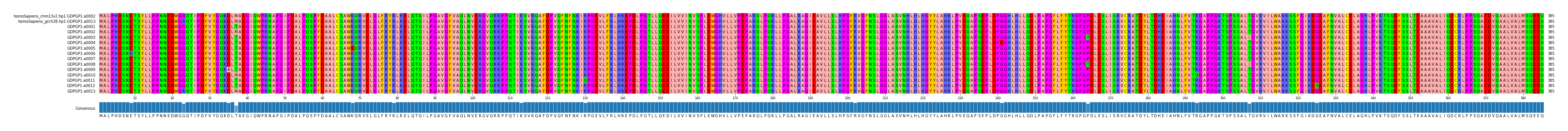 Multiple Alignments (by translate haplotype frequency)