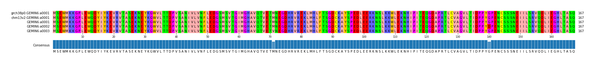 Multiple Alignments (by translate haplotype frequency)