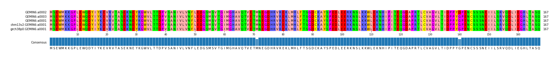 Multiple Alignments (by translate haplotype similarity)