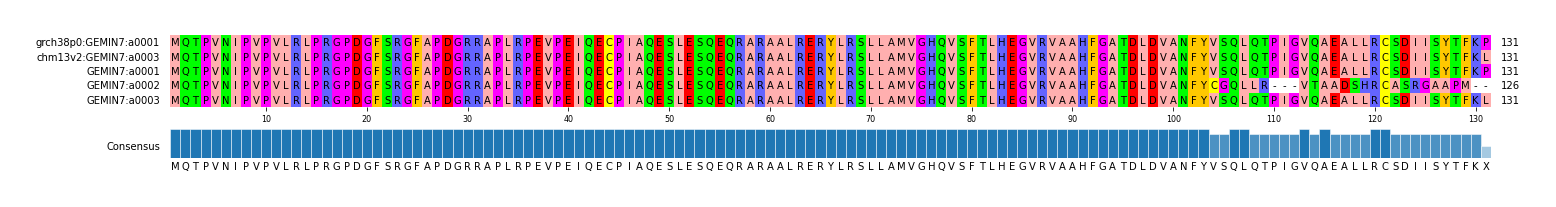 Multiple Alignments (by translate haplotype frequency)