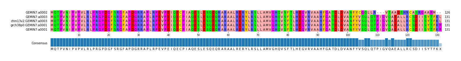 Multiple Alignments (by translate haplotype similarity)