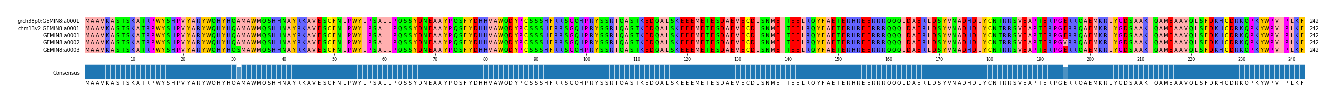 Multiple Alignments (by translate haplotype frequency)
