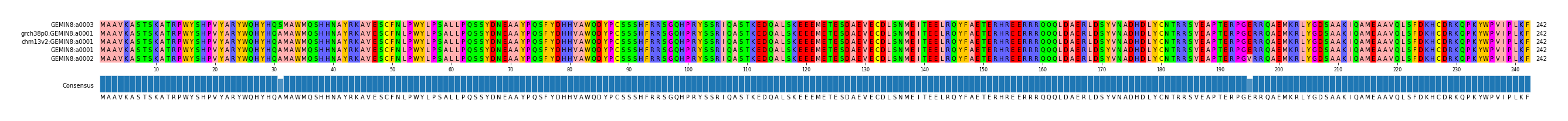 Multiple Alignments (by translate haplotype similarity)