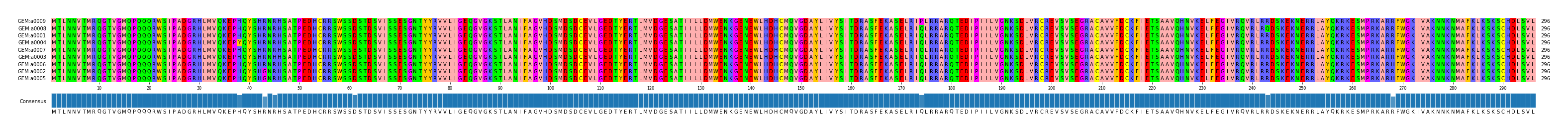 Multiple Alignments (by translate haplotype similarity)