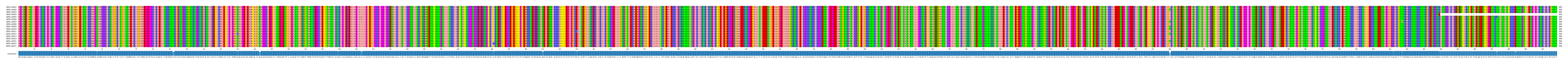 Multiple Alignments (by translate haplotype frequency)