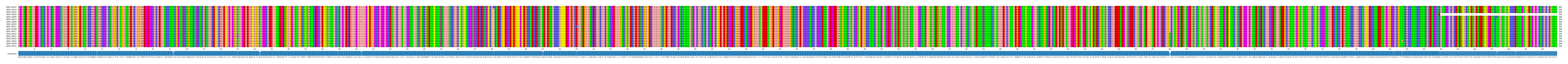 Multiple Alignments (by translate haplotype similarity)