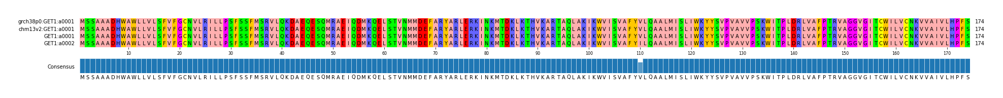 Multiple Alignments (by translate haplotype similarity)
