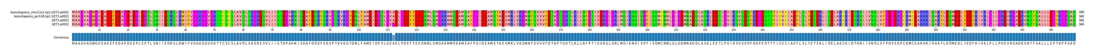 Multiple Alignments (by translate haplotype similarity)