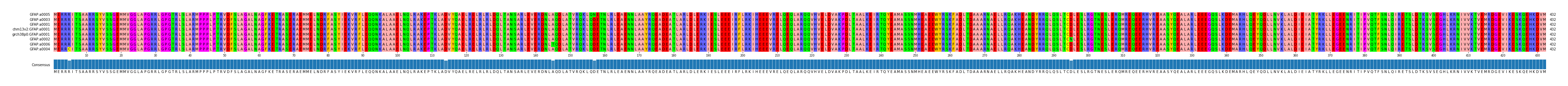 Multiple Alignments (by translate haplotype similarity)