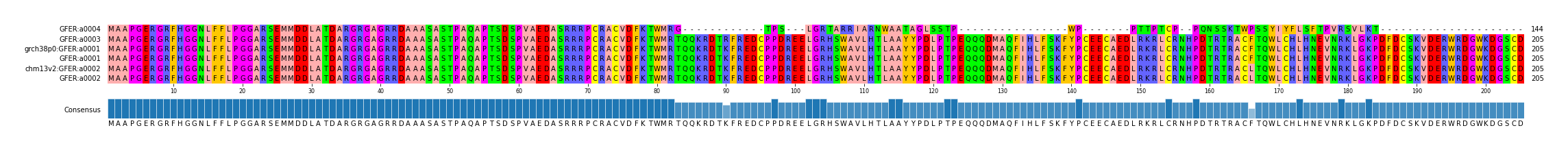 Multiple Alignments (by translate haplotype similarity)