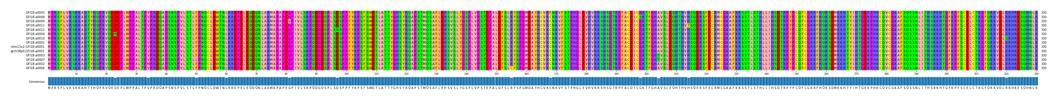 Multiple Alignments (by translate haplotype similarity)