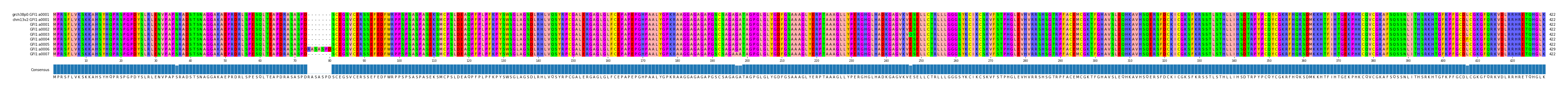 Multiple Alignments (by translate haplotype frequency)
