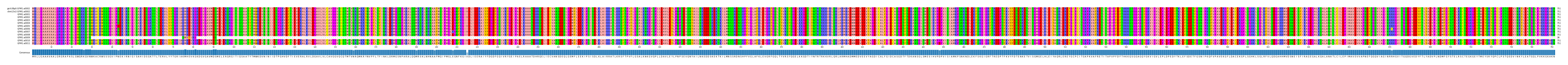 Multiple Alignments (by translate haplotype frequency)