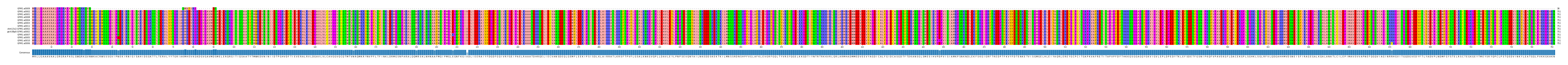 Multiple Alignments (by translate haplotype similarity)