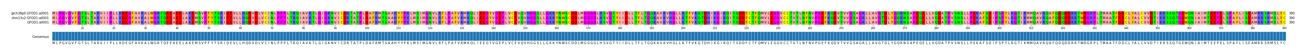 Multiple Alignments (by translate haplotype frequency)