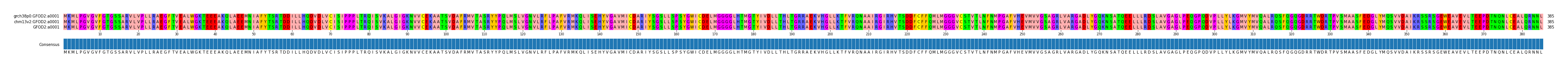 Multiple Alignments (by translate haplotype similarity)