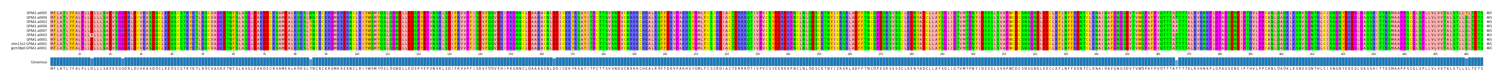 Multiple Alignments (by translate haplotype similarity)