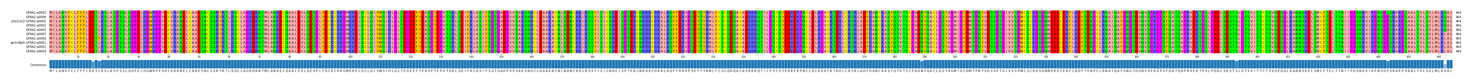 Multiple Alignments (by translate haplotype similarity)