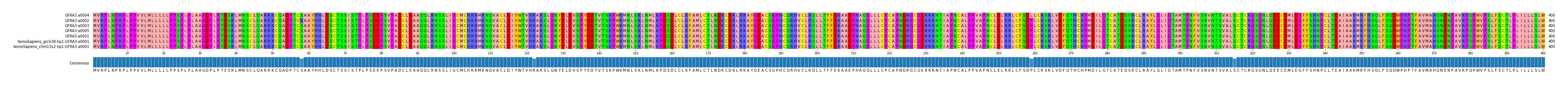 Multiple Alignments (by translate haplotype similarity)