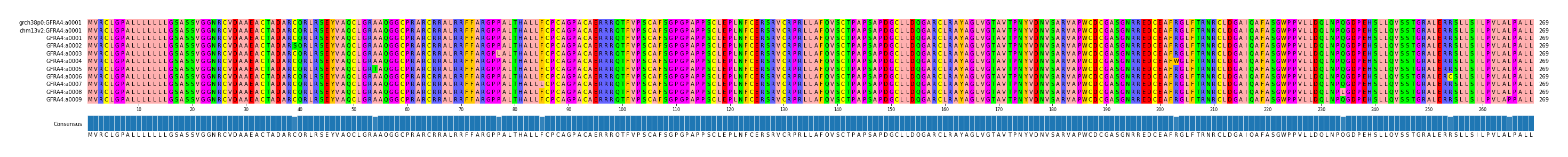 Multiple Alignments (by translate haplotype frequency)