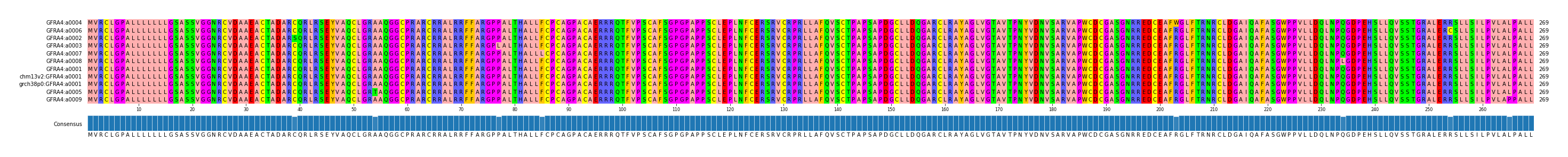 Multiple Alignments (by translate haplotype similarity)