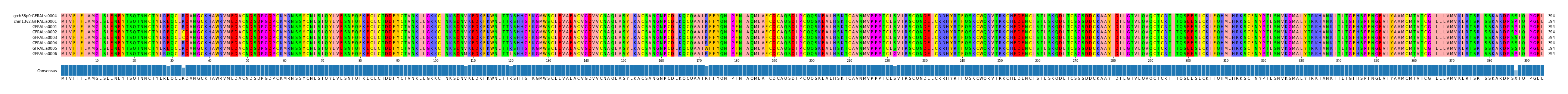 Multiple Alignments (by translate haplotype frequency)