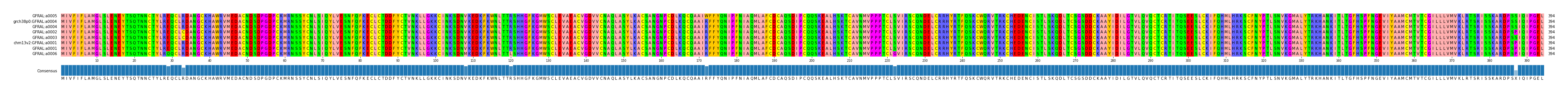 Multiple Alignments (by translate haplotype similarity)