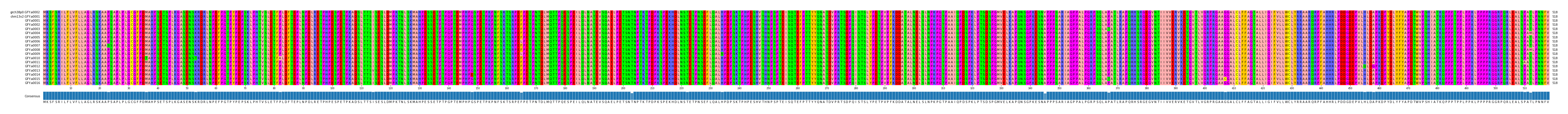 Multiple Alignments (by translate haplotype frequency)
