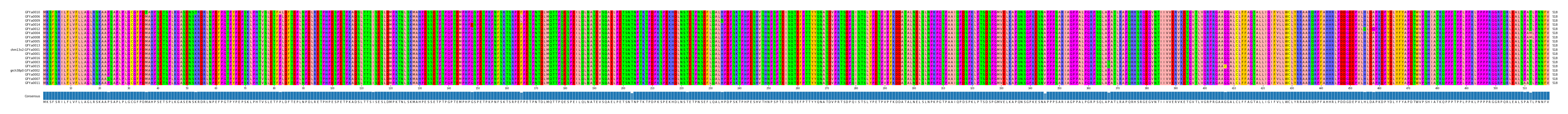 Multiple Alignments (by translate haplotype similarity)
