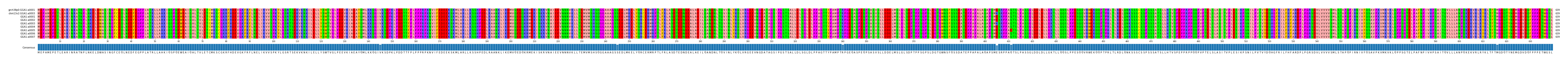Multiple Alignments (by translate haplotype frequency)