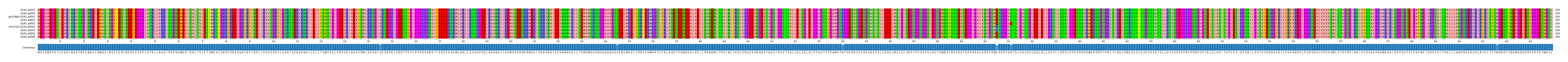 Multiple Alignments (by translate haplotype similarity)