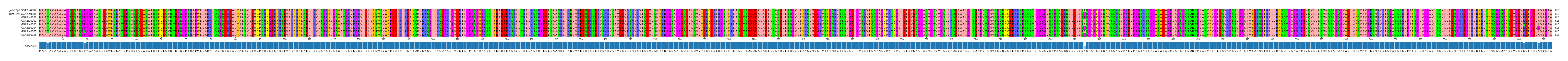Multiple Alignments (by translate haplotype frequency)