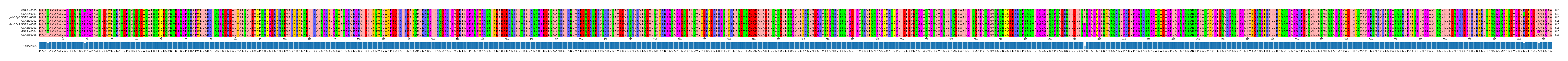 Multiple Alignments (by translate haplotype similarity)