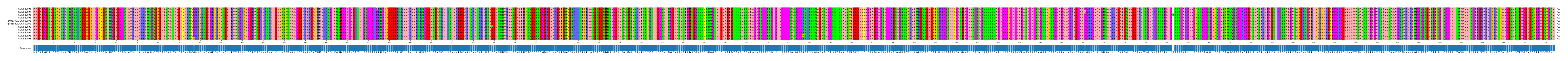 Multiple Alignments (by translate haplotype similarity)