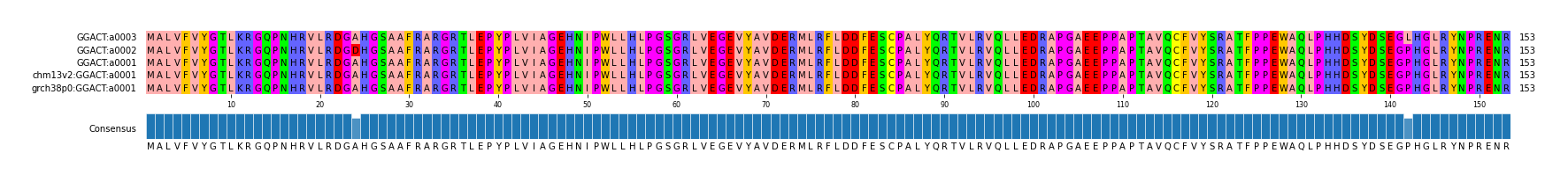 Multiple Alignments (by translate haplotype similarity)