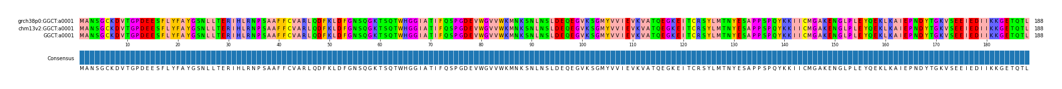Multiple Alignments (by translate haplotype similarity)