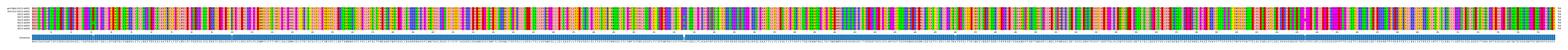 Multiple Alignments (by translate haplotype frequency)