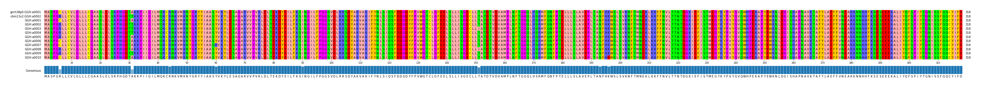 Multiple Alignments (by translate haplotype frequency)