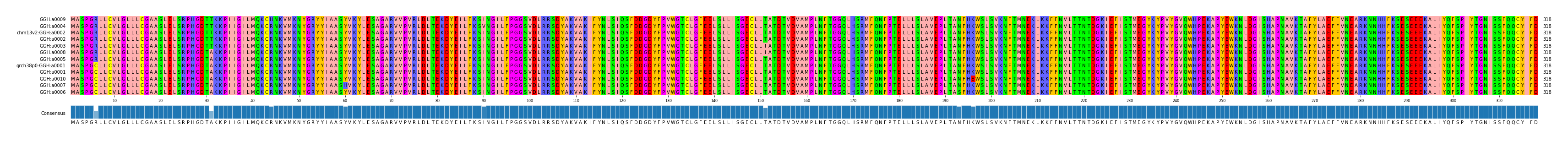 Multiple Alignments (by translate haplotype similarity)